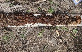 Flag Fen Auger Survey