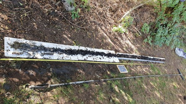 Flag Fen Auger Survey - Point 84