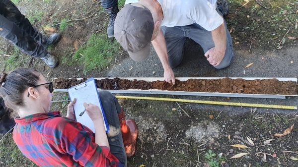 Flag Fen - Fen Causeway Auger Sample